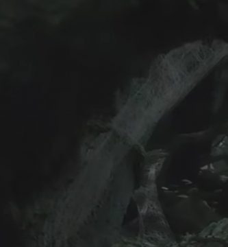 lotr el senor de los anillos bosque negro mirkwood