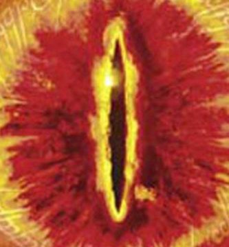 lotr el senor de los anillos sauron